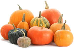 an assortment of pumpkins